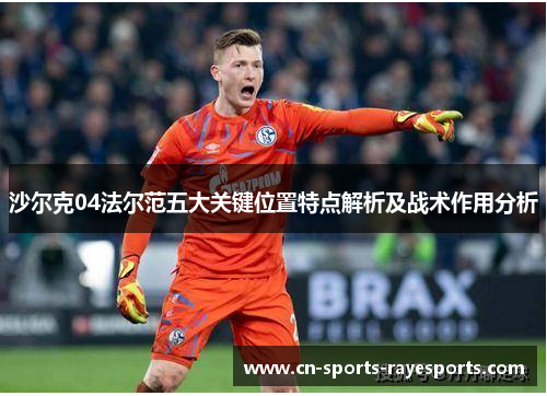 沙尔克04法尔范五大关键位置特点解析及战术作用分析