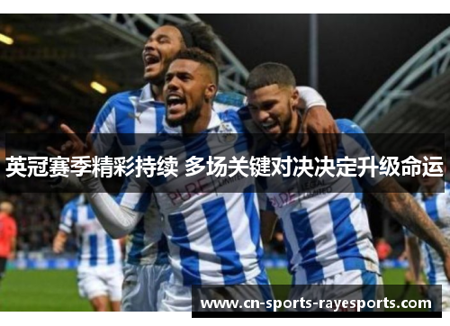 英冠赛季精彩持续 多场关键对决决定升级命运 英冠赛季精彩持续 多场关键对决决定升级命运