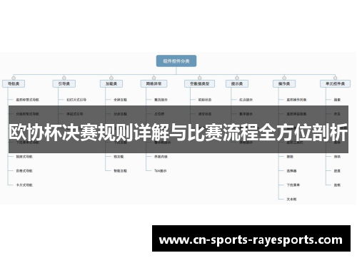 欧协杯决赛规则详解与比赛流程全方位剖析