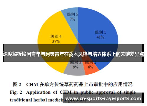 深度解析埃因青年与阿贾青年在战术风格与培养体系上的关键差异点