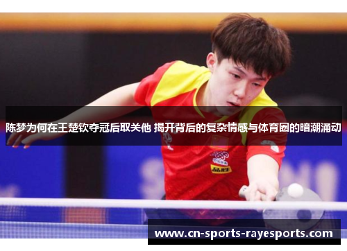 陈梦为何在王楚钦夺冠后取关他 揭开背后的复杂情感与体育圈的暗潮涌动