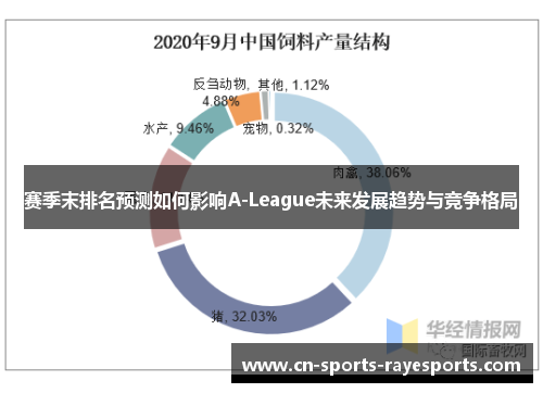 赛季末排名预测如何影响A-League未来发展趋势与竞争格局