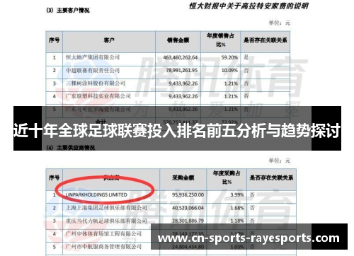 近十年全球足球联赛投入排名前五分析与趋势探讨